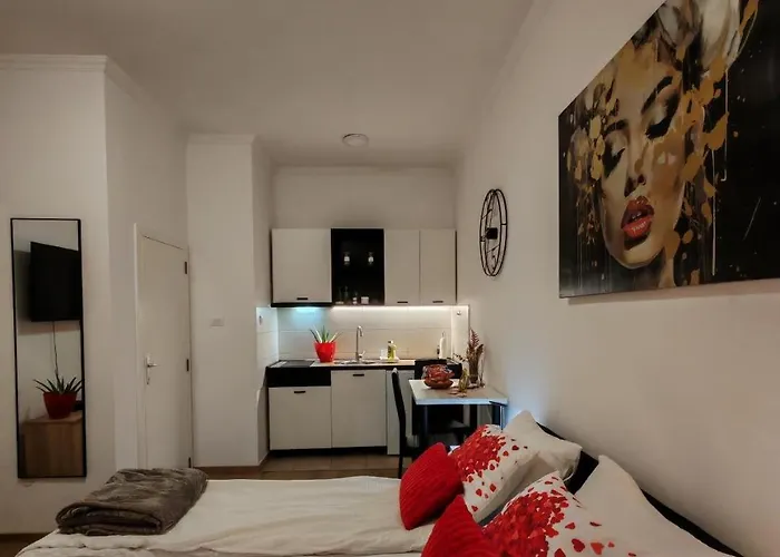 Cozy Cute * Novi Sad