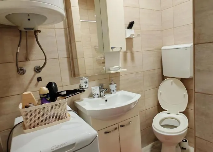 Cozy Cute Apartamento