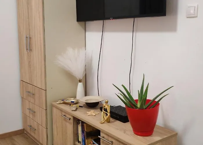 Cozy Cute Apartamento Novi Sad